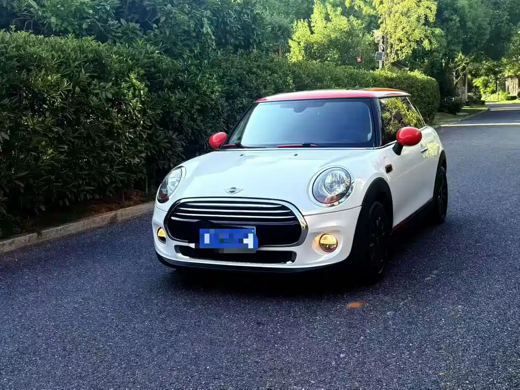 Mini Mini 2017