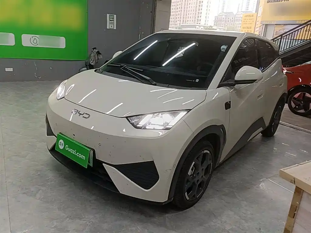 Byd Seagull 2025