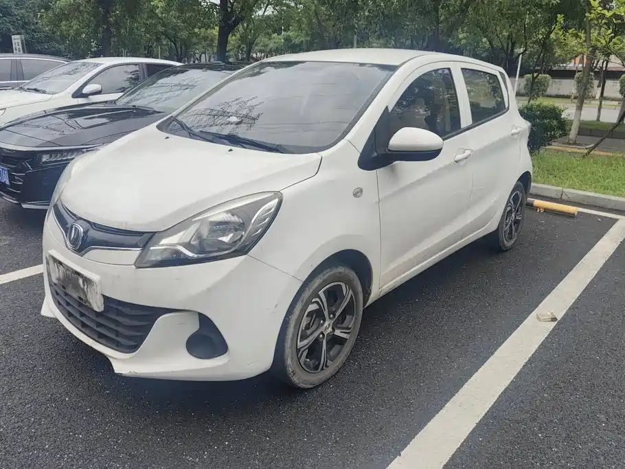 2021 Changan Benni EC/EV - zdjęcie 1 z 16