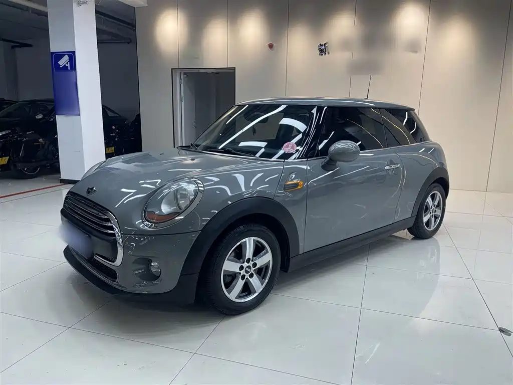 Mini Mini 2015