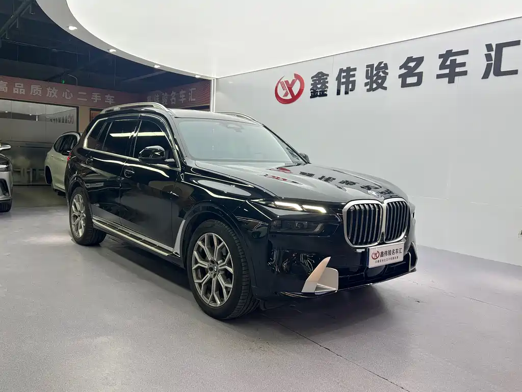 BMW X7 — миниатюра 4