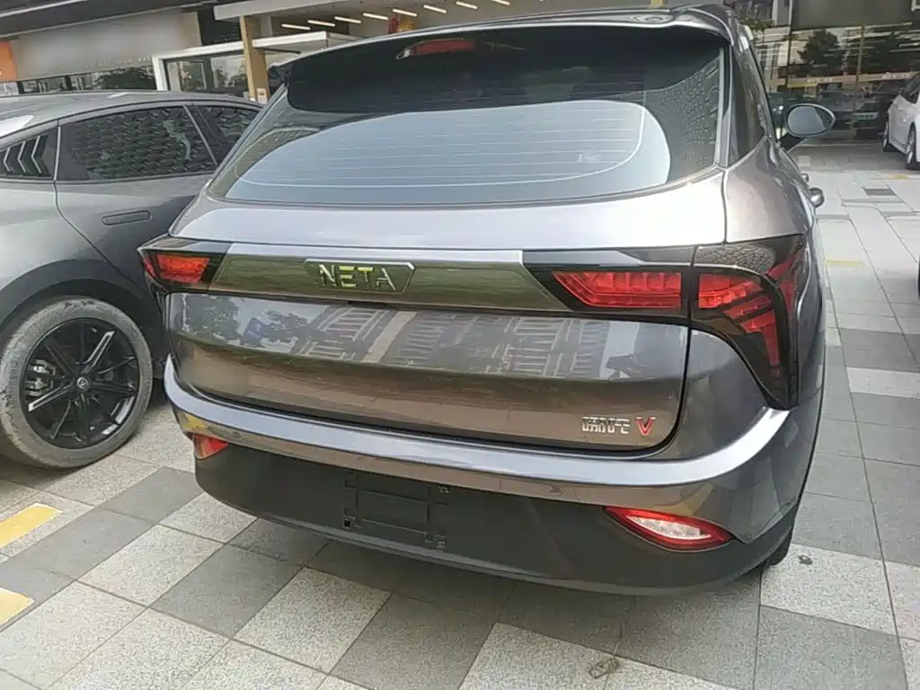 Neta Neta V — миниатюра 6