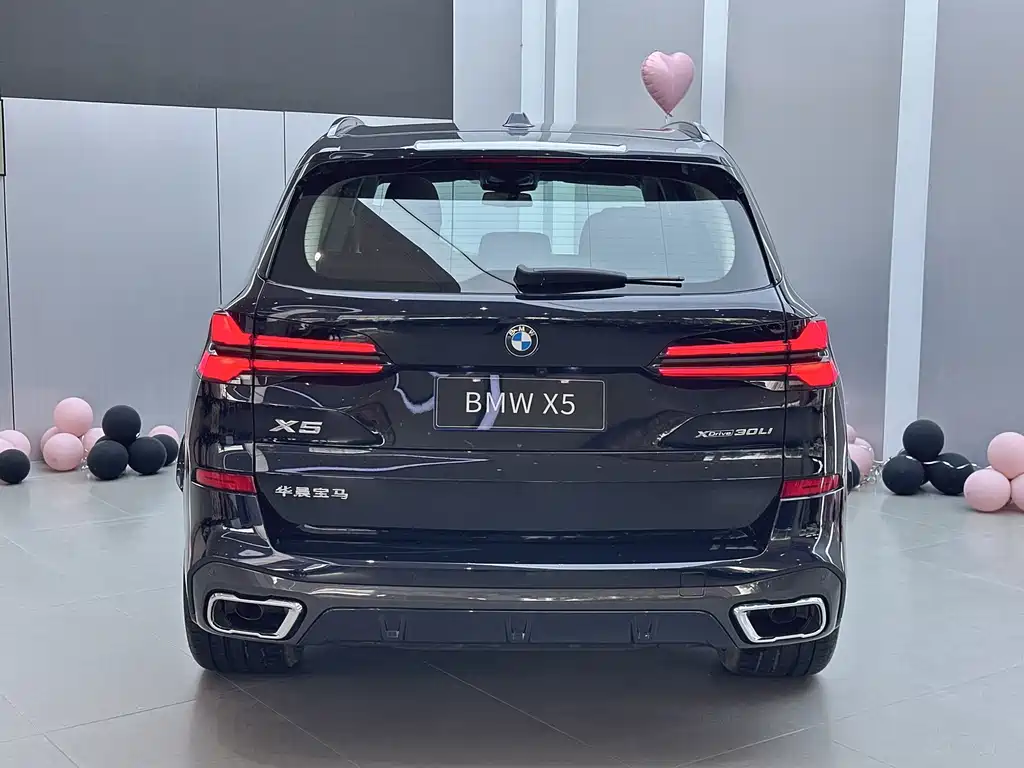 BMW X5 — миниатюра 17