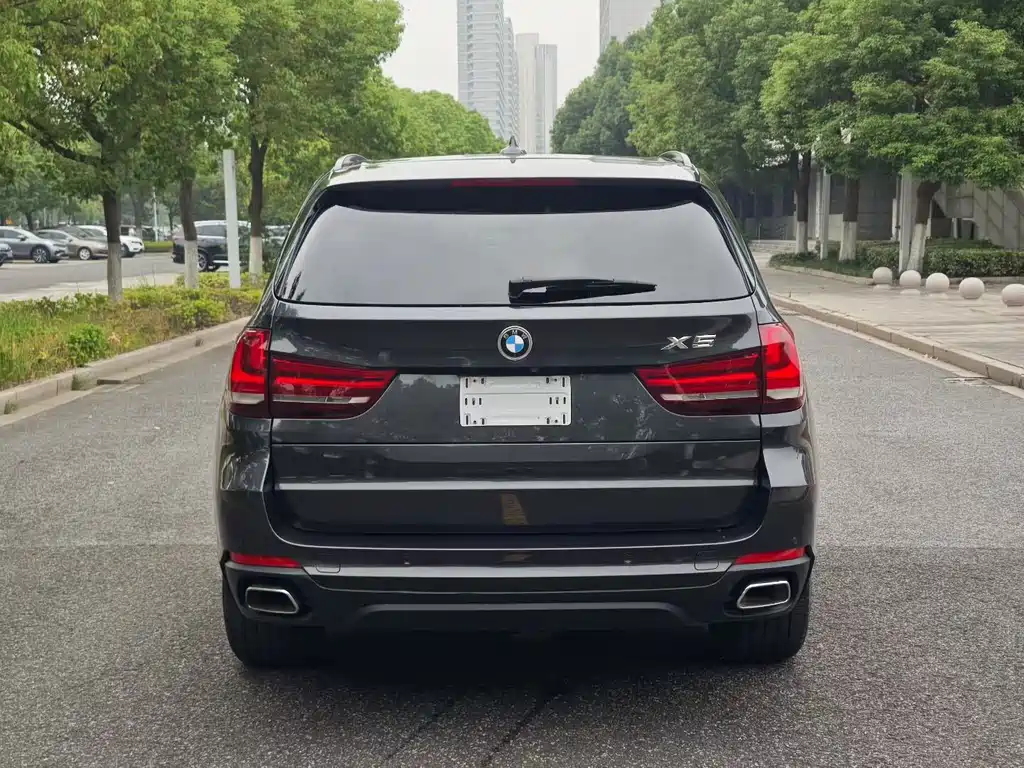 BMW X5 (Import) — миниатюра 5
