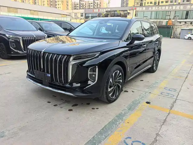 2024 Hongqi HS7