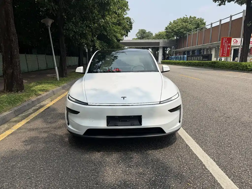 Tesla Model Y — миниатюра 2