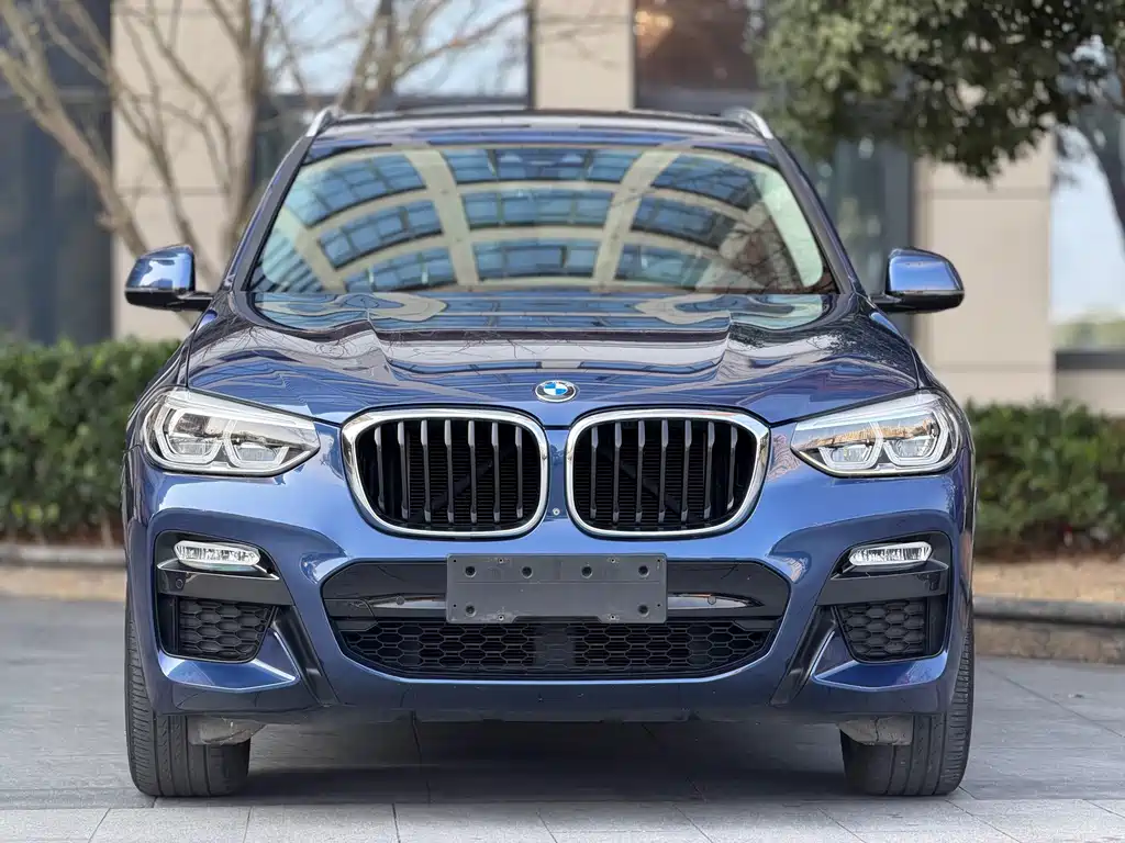 BMW X3 — миниатюра 2