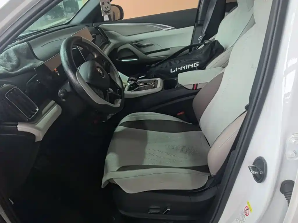 BYD Pro New Energy — миниатюра 15