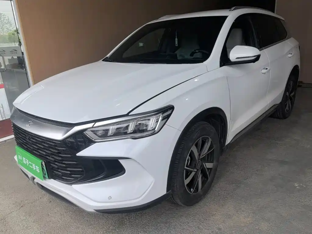 BYD Pro New Energy — миниатюра 2
