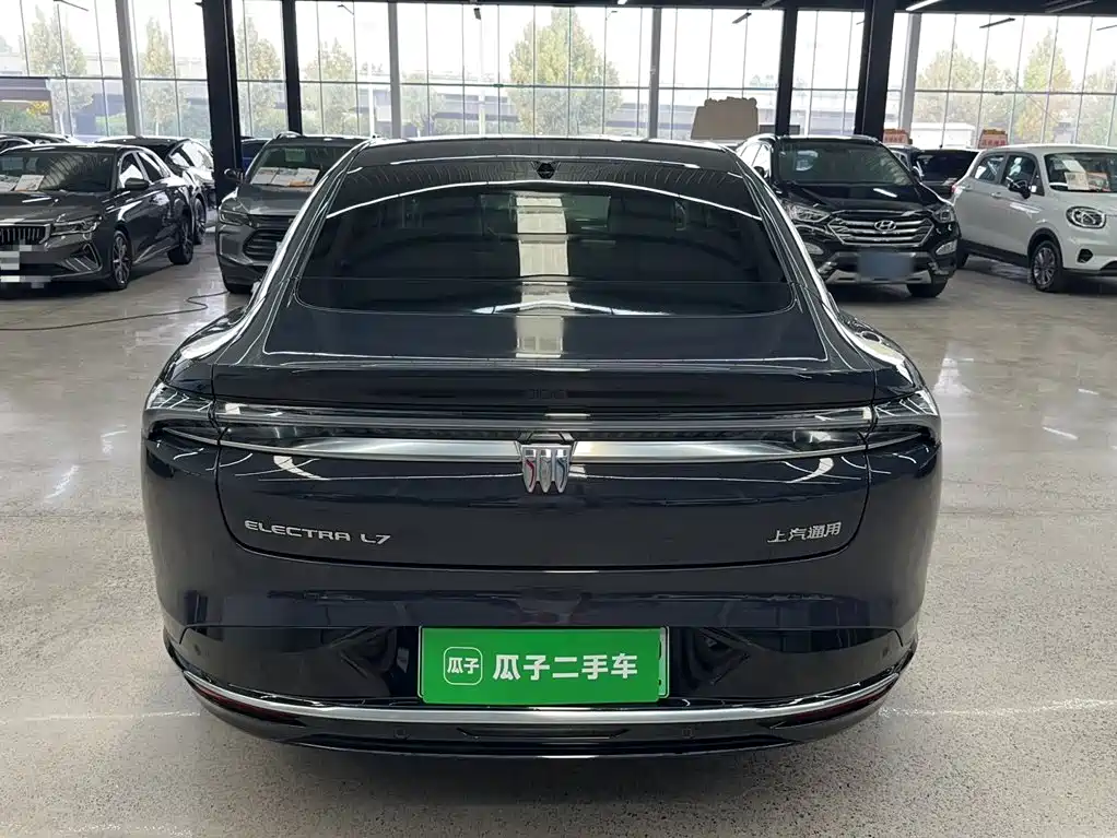 Buick Electra L7 — миниатюра 15