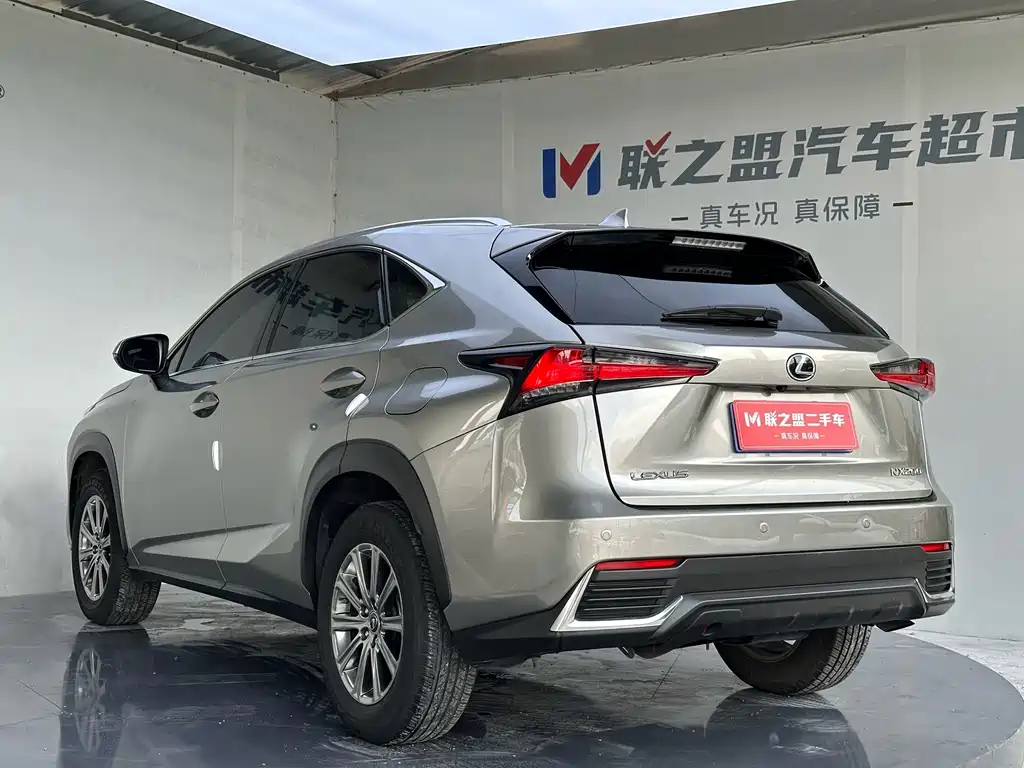 Lexus NX — миниатюра 6