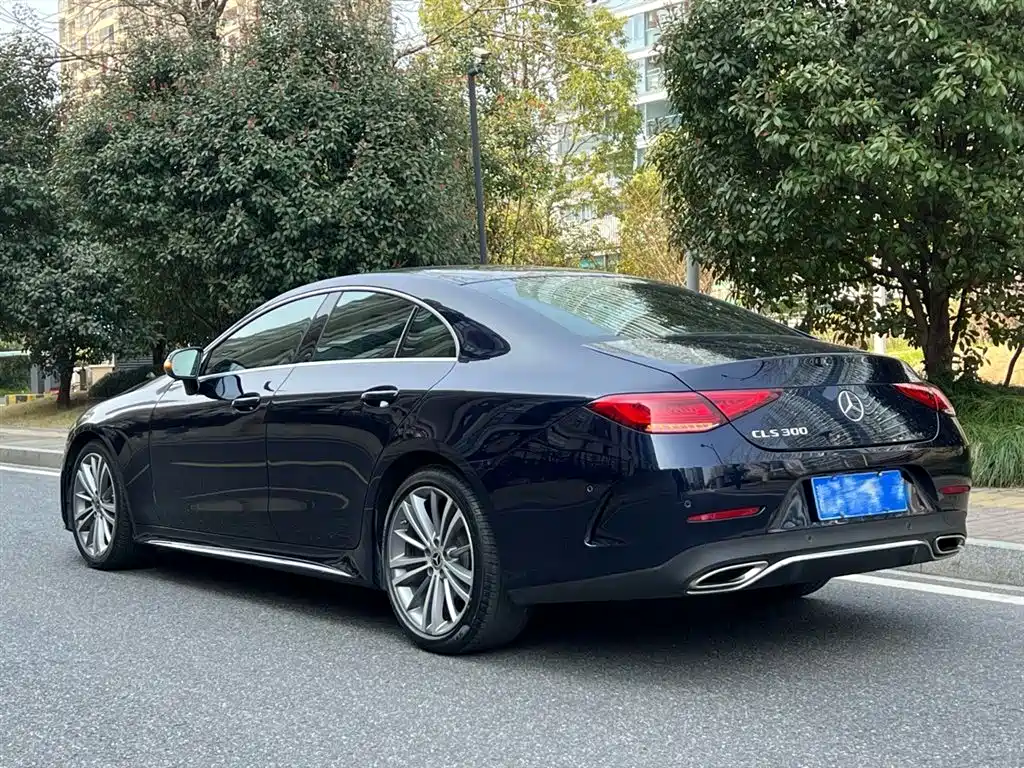 Mercedes-Benz CLS 2020 CLS 300