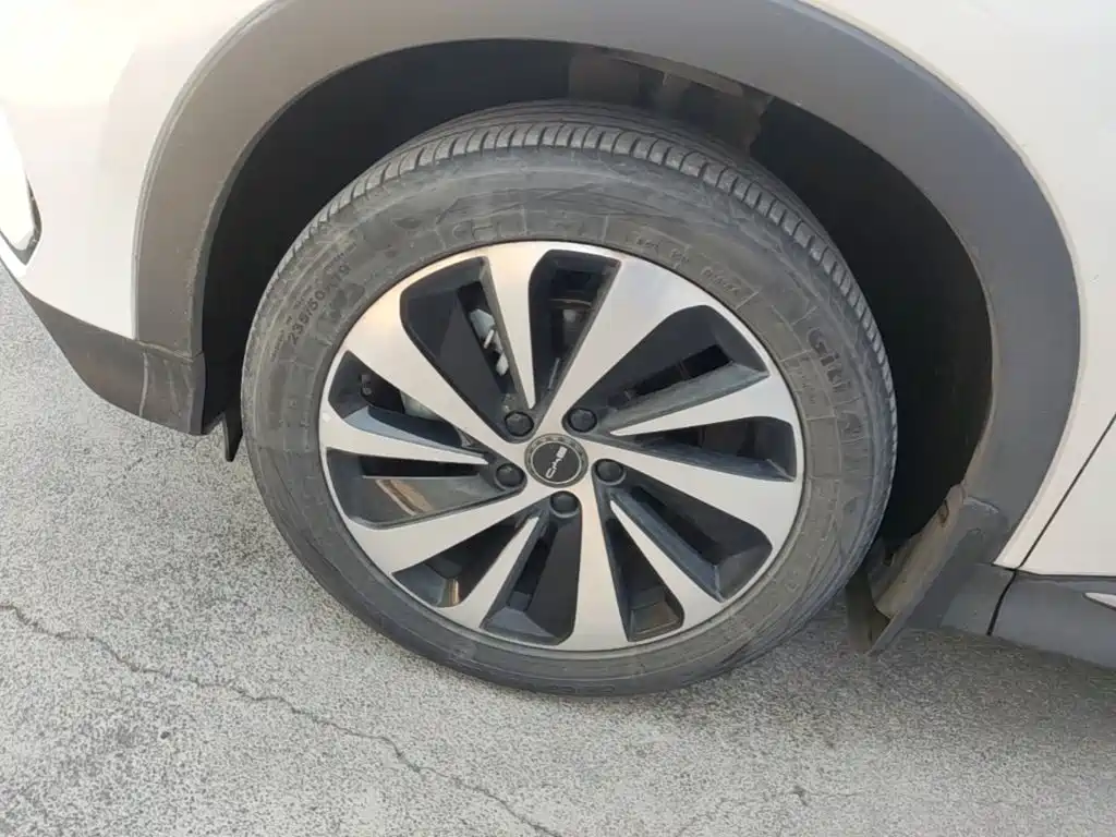 BYD PLUS New Energy — миниатюра 23