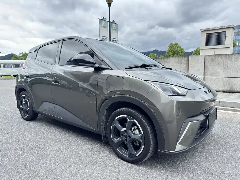BYD Seagull 2023 Freedom