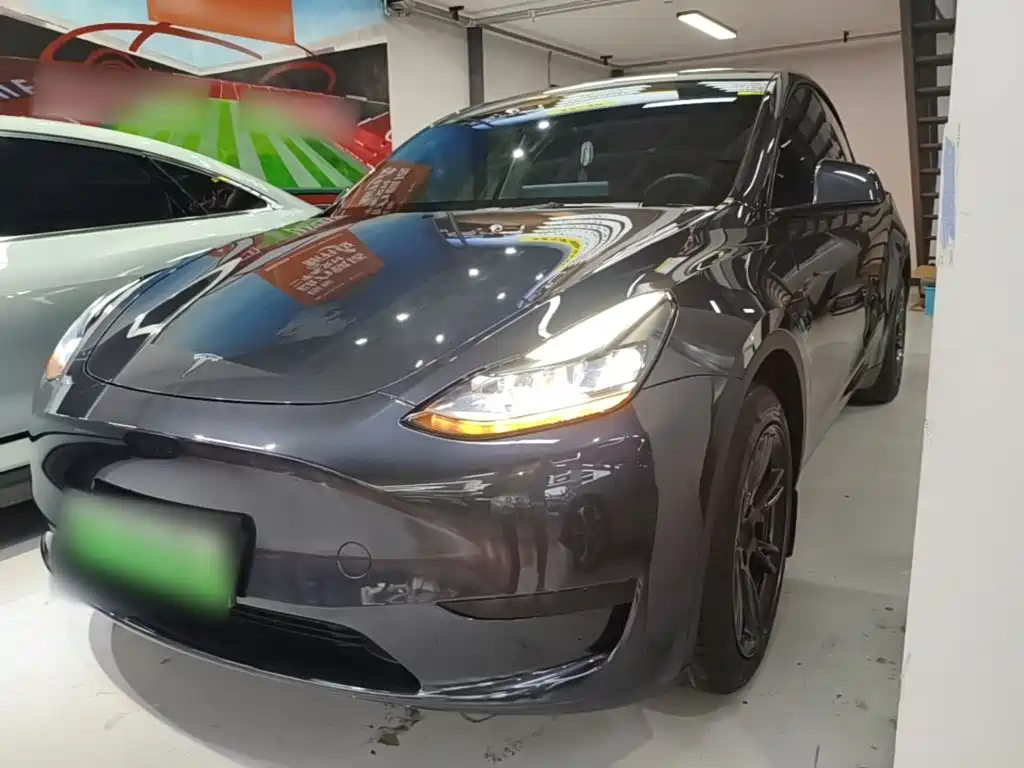 Tesla Model Y — миниатюра 2