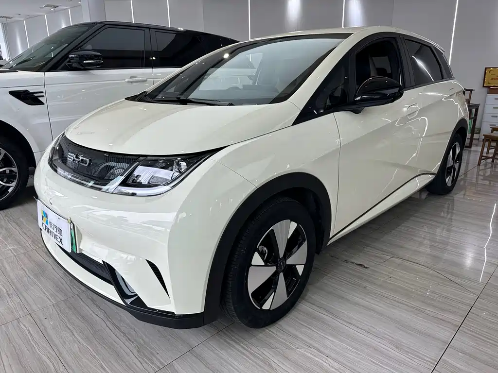 Byd Dolphin 2023