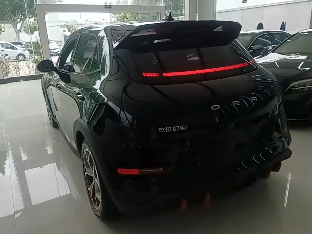 Ora Ora Good Cat GT — миниатюра 5