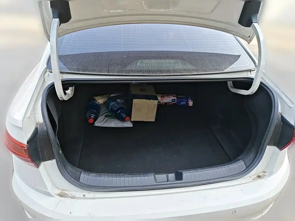 Volkswagen Sagitar — миниатюра 20