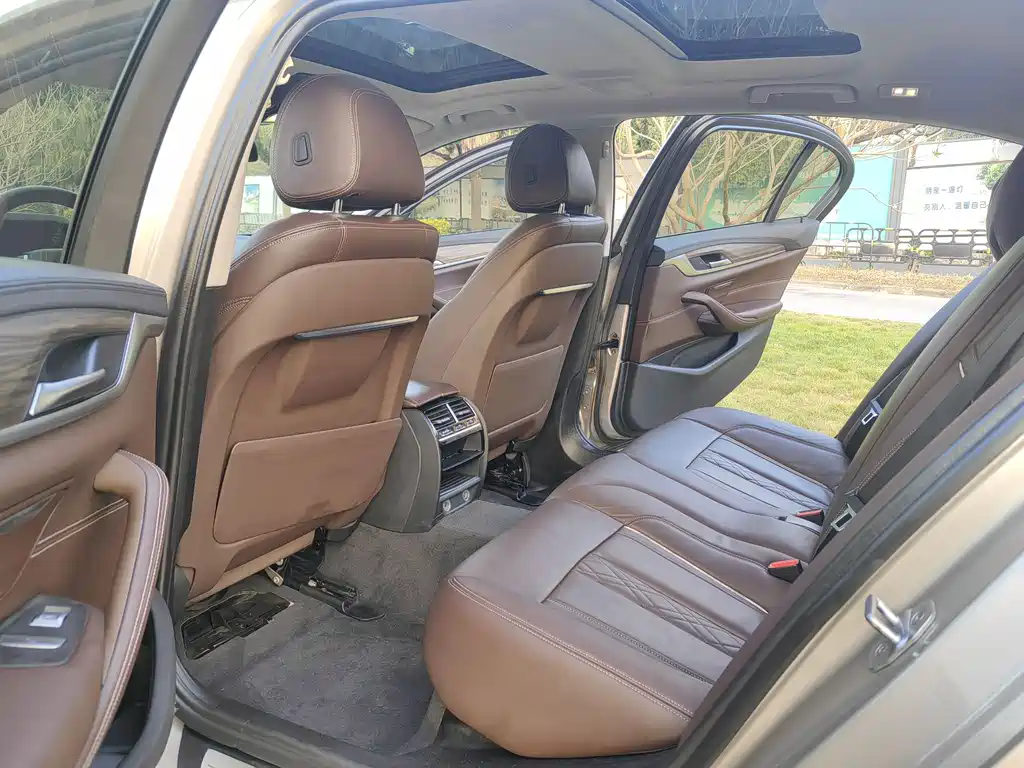 BMW 5 Series 5 2019 530Li Lead Luxury