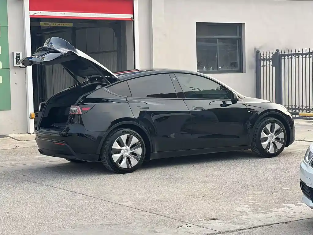 Tesla Model Y — миниатюра 11