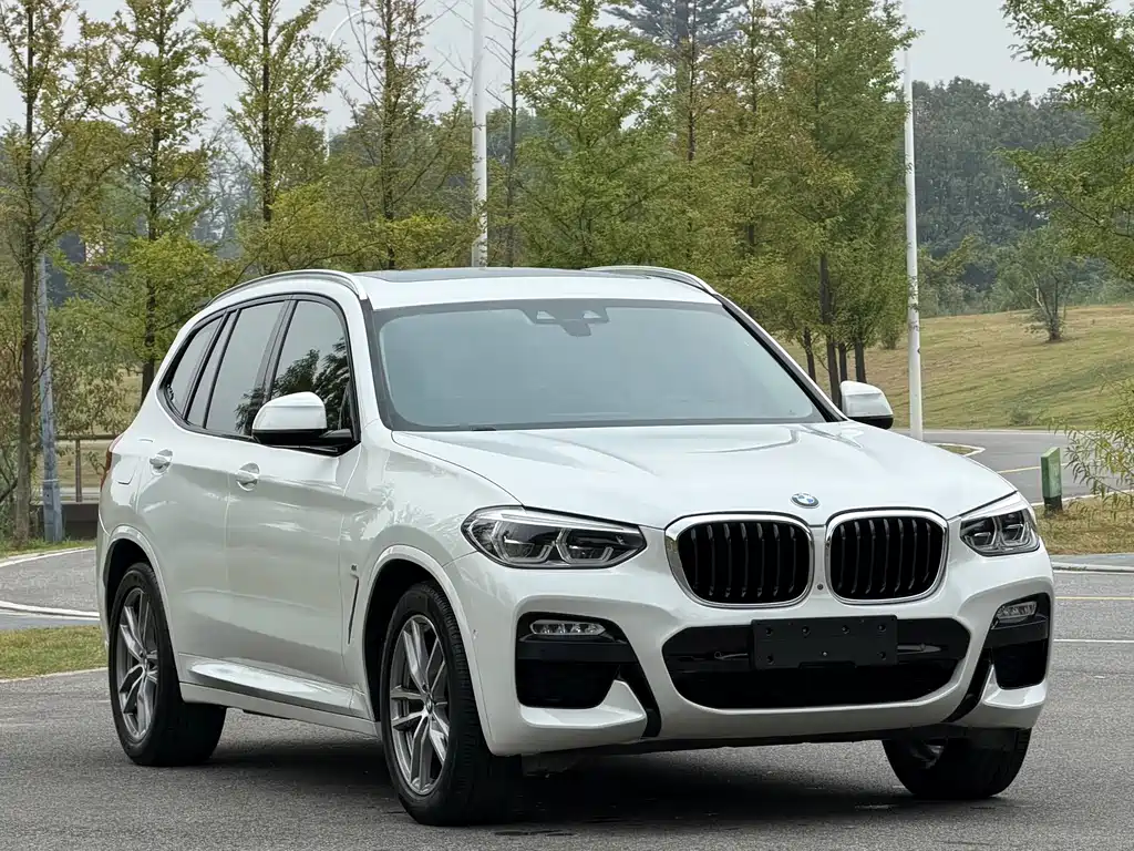BMW X3 — миниатюра 3