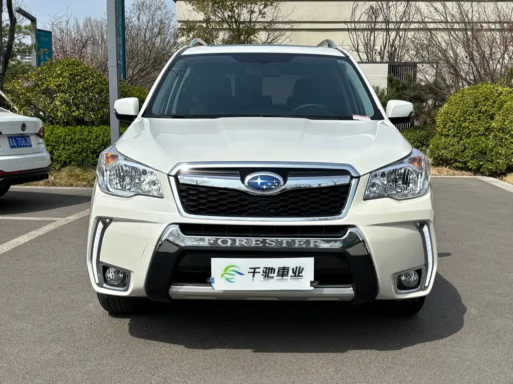Subaru Forester — миниатюра 2