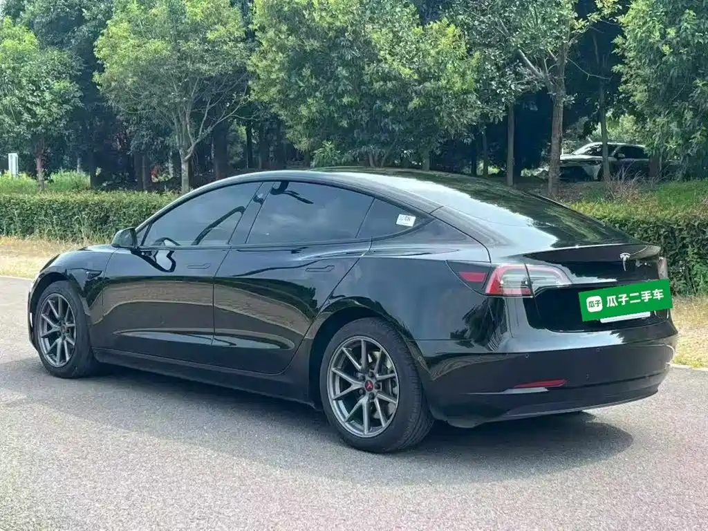 Tesla Model 3 — миниатюра 5