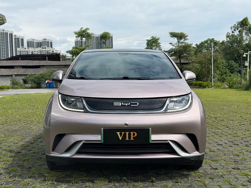 BYD Dolphin — миниатюра 2