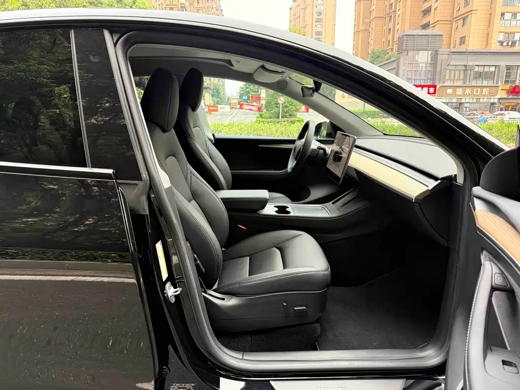 Tesla Model Y — миниатюра 11