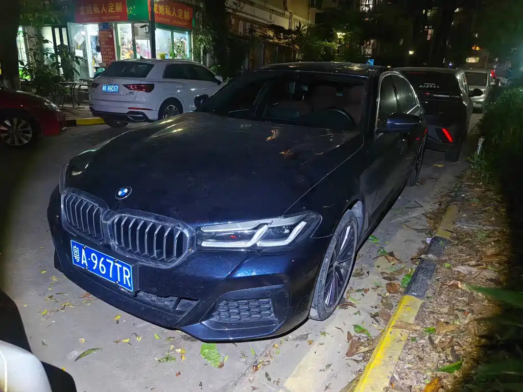 BMW 5 Series 2021