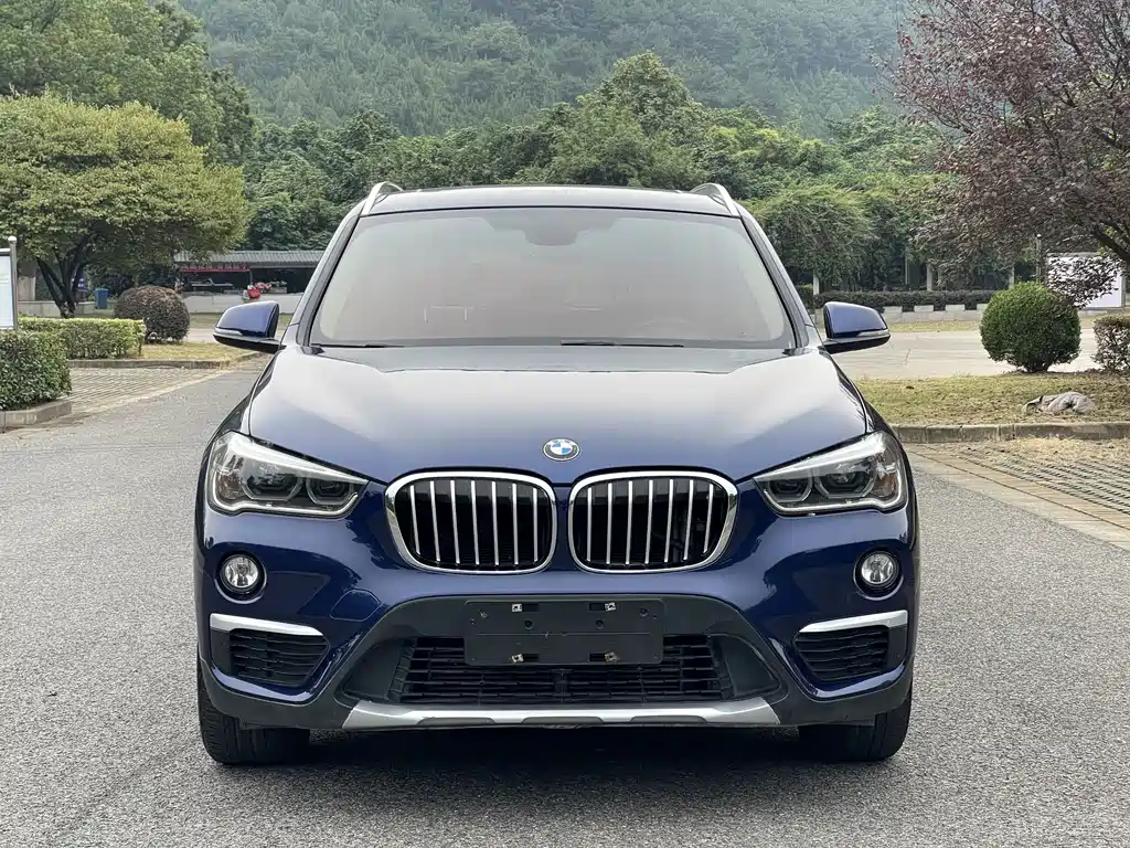 BMW X1 — миниатюра 2