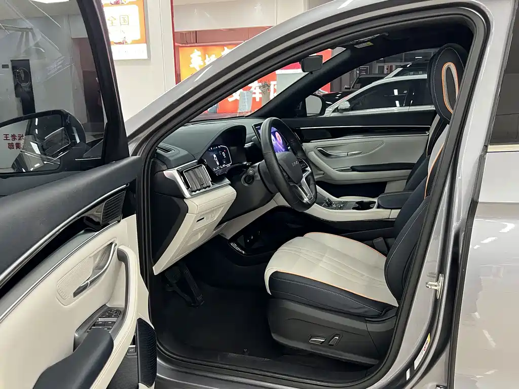 BYD PLUS New Energy — миниатюра 7