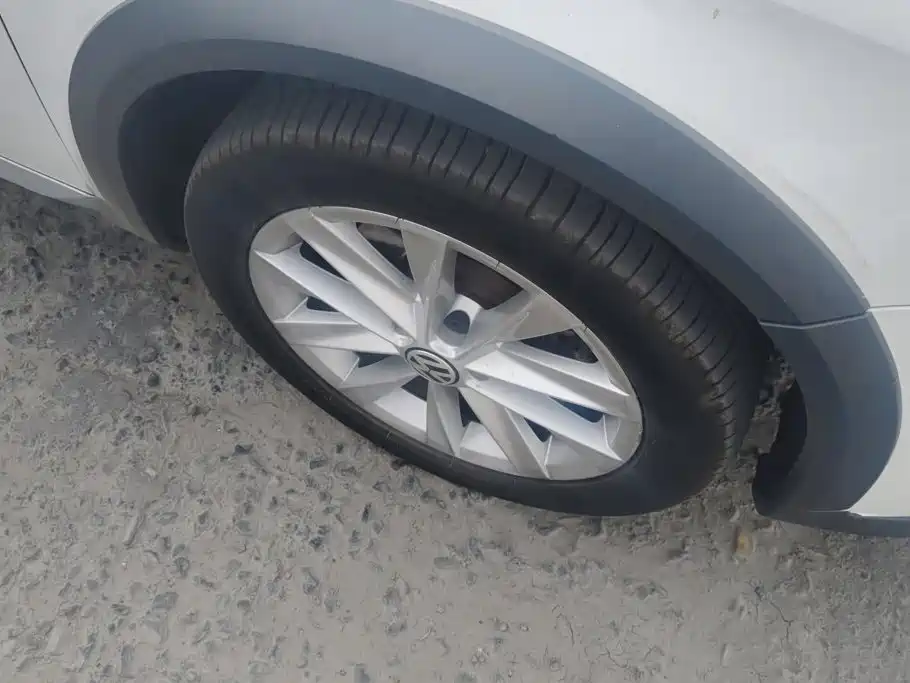 Volkswagen Magotan (Import) — миниатюра 6