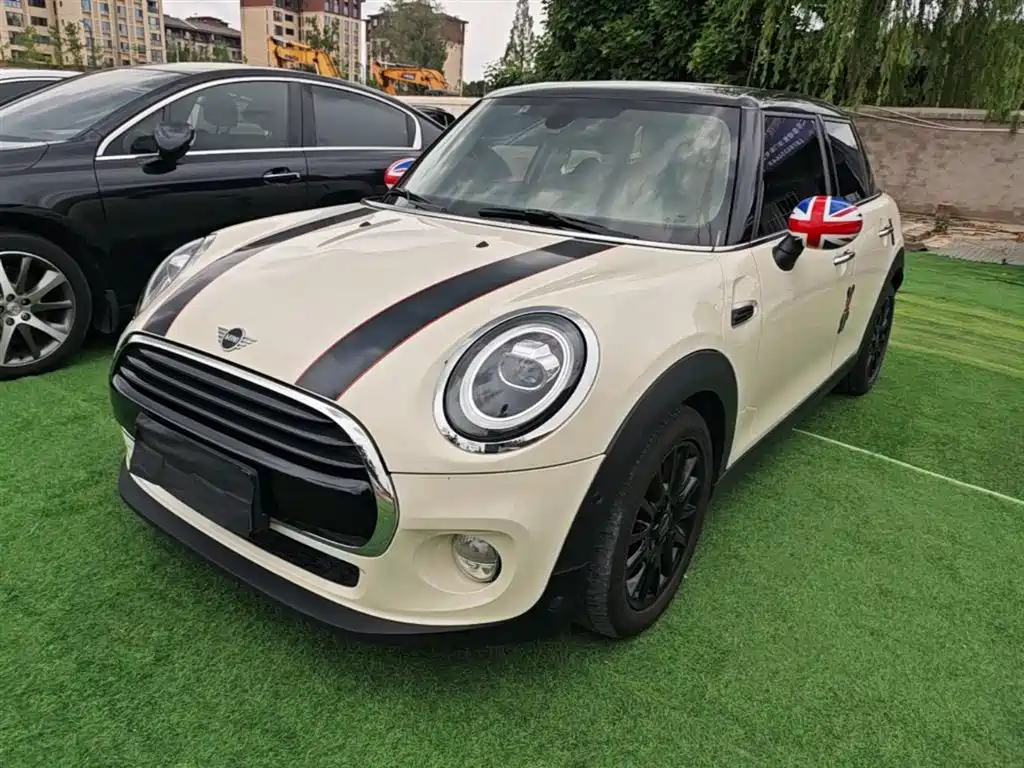 Mini Mini 2019
