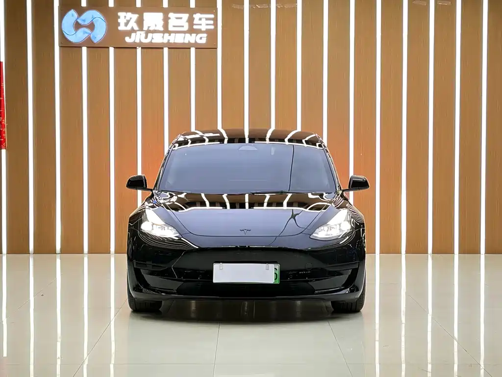 Tesla Model 3 — миниатюра 2