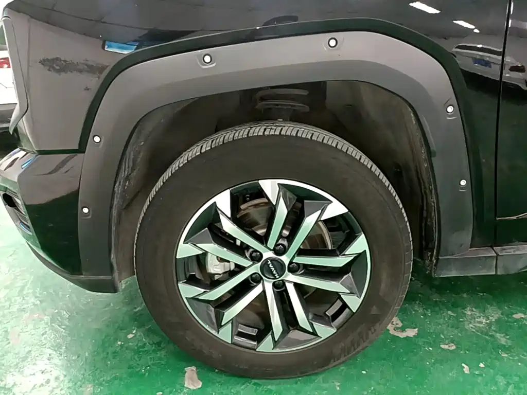 Haval Big Dog PLUS — миниатюра 23