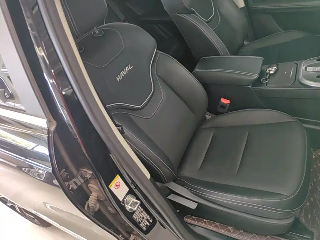 Haval Chulian — миниатюра 25