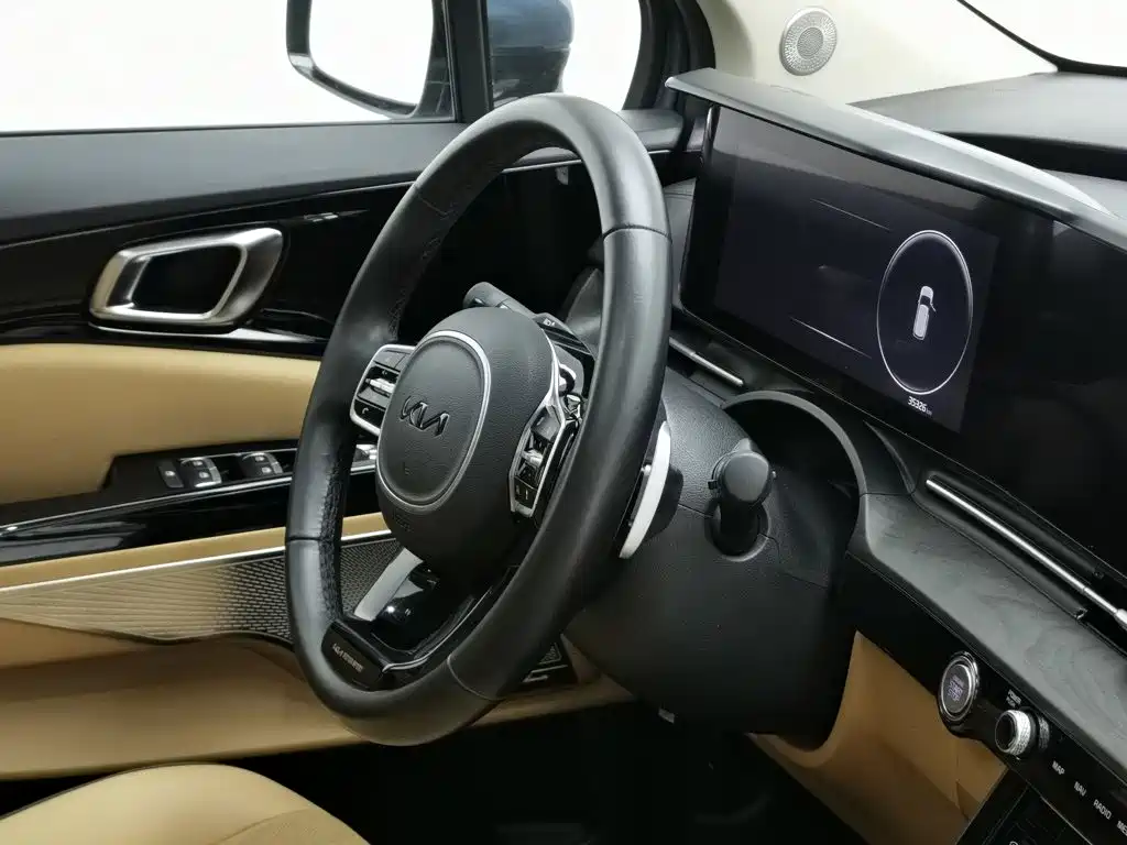 Kia Carnival — миниатюра 22