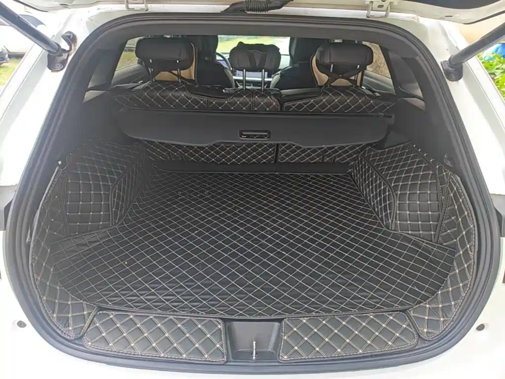 Haval Shenshou — миниатюра 19