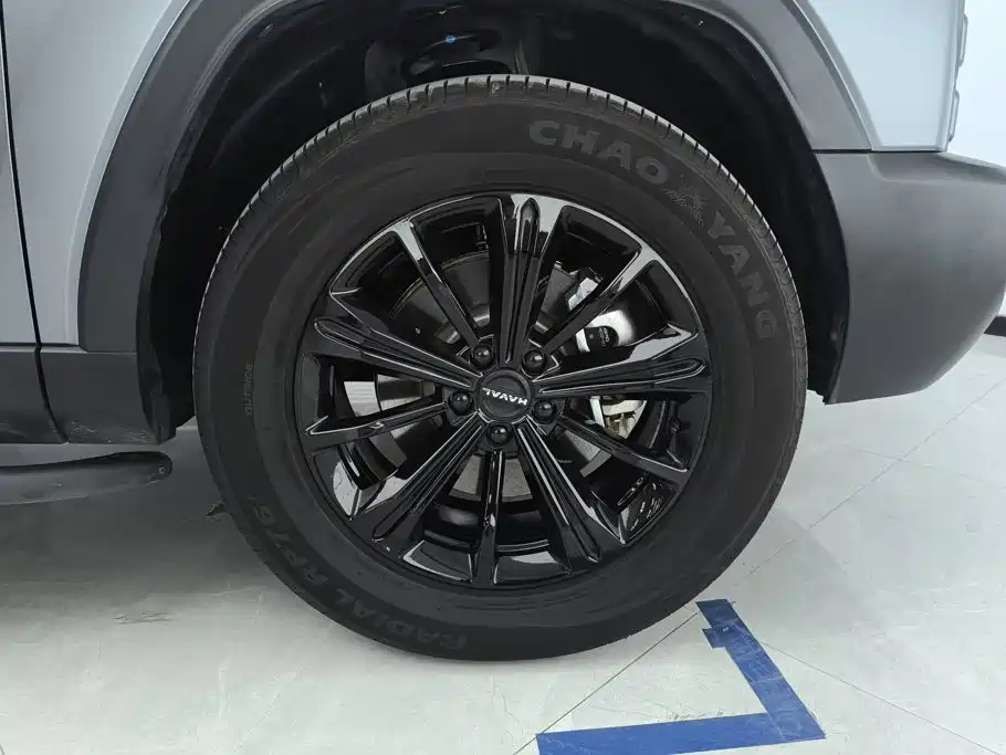 Haval Menglong New Energy — миниатюра 6