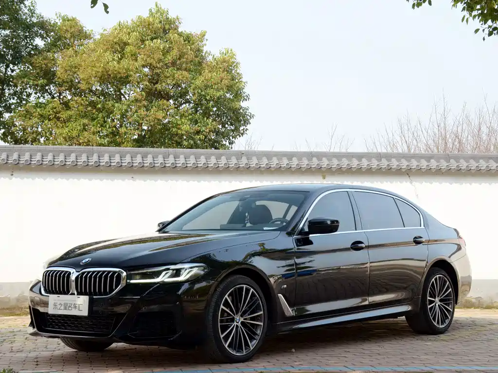 BMW 5 Series 2021