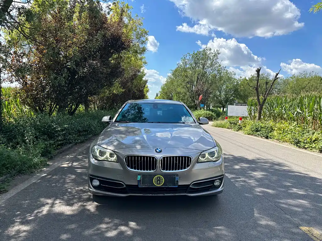 BMW 5 Series — миниатюра 2