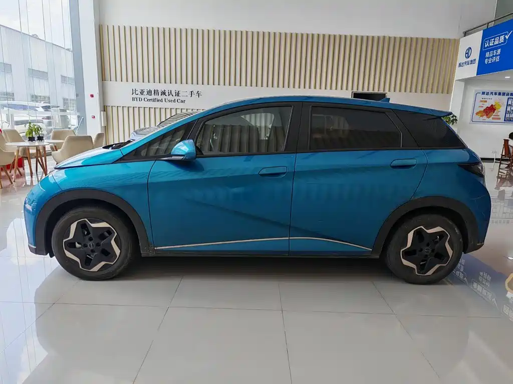 BYD Dolphin — миниатюра 4