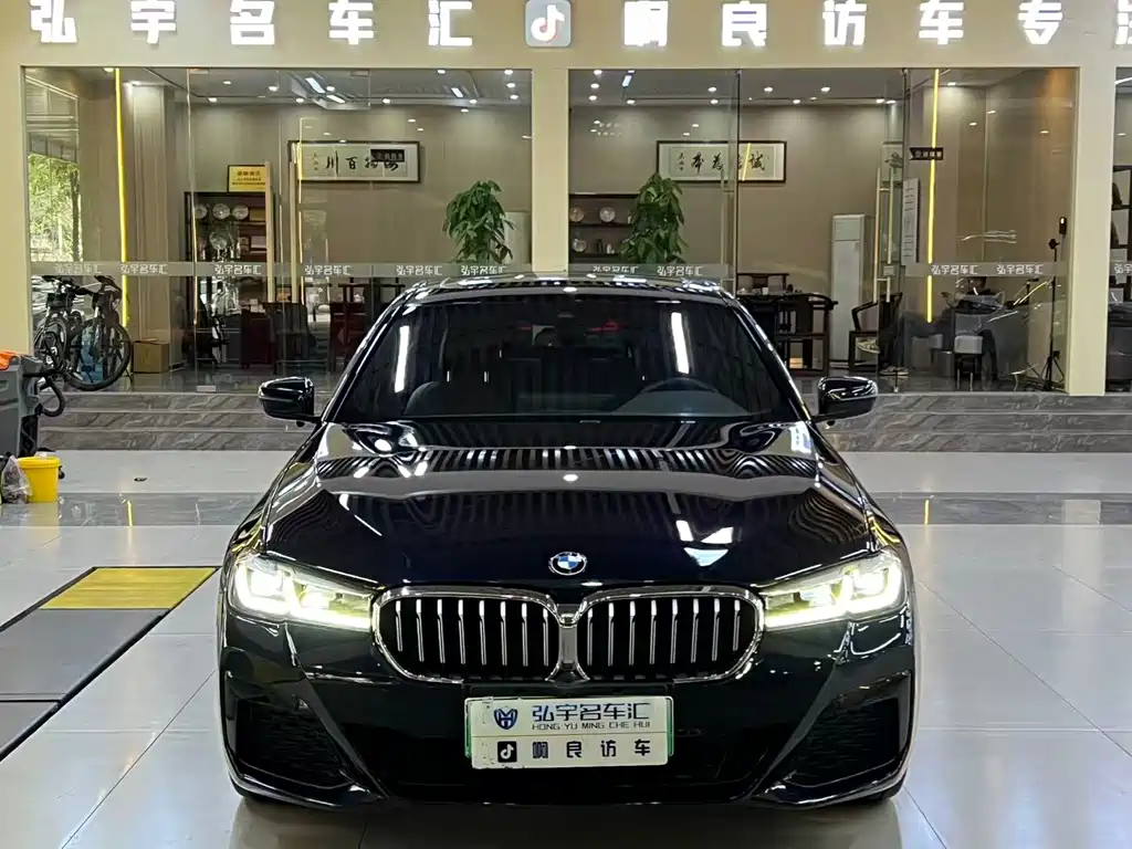BMW 5 Series New Energy 2021