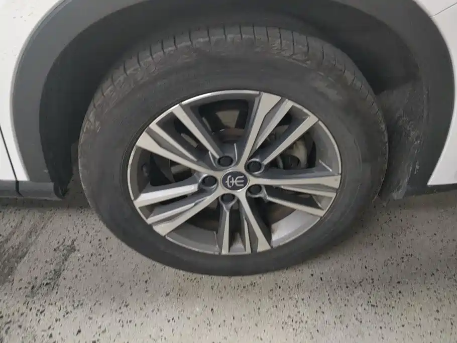 BYD Pro — миниатюра 6
