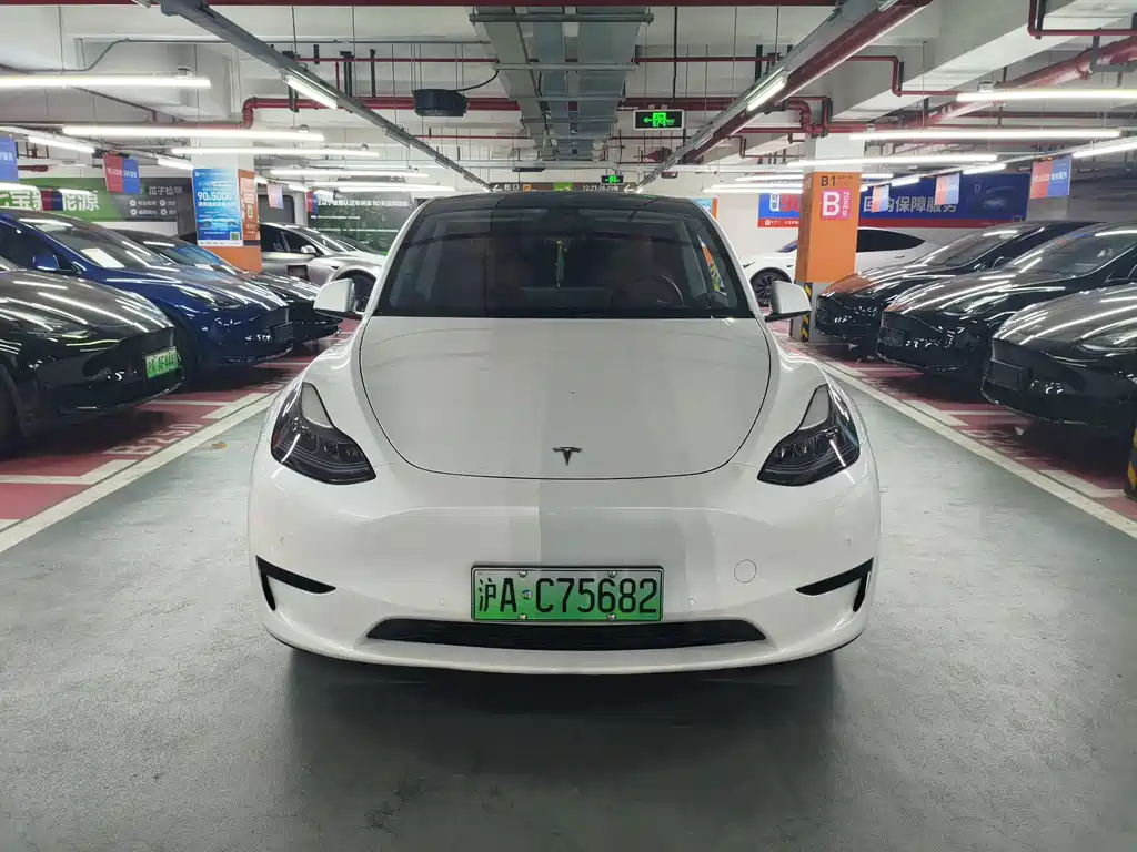 Tesla Model Y — миниатюра 2