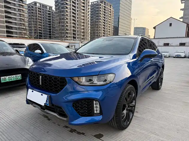 2018 Wey VV5
