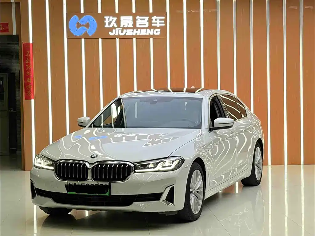 BMW 5 Series New Energy 2021
