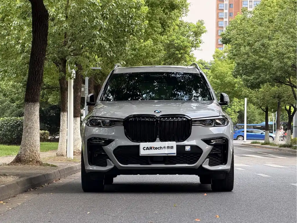 BMW X7 — миниатюра 2