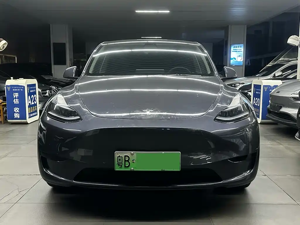 Tesla Model Y — миниатюра 2